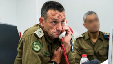 هرتسي هليفي